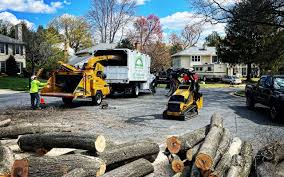 Best Lawn Drainage Solutions  in Central Islip, NY