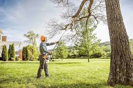 Best Lawn Watering Services  in Central Islip, NY